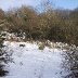 Furnace Quarry - In the Snow