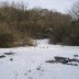 Furnace Quarry - In the Snow 1