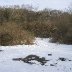 Furnace Quarry - In the Snow 2