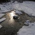 Furnace Quarry - In the Snow 5