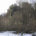 Furnace Quarry - In the Snow 6