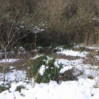 Furnace Quarry - In the Snow 9