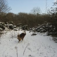 Furnace Quarry - In the Snow 11