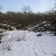 Furnace Quarry - In the Snow 12