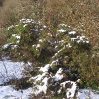 Furnace Quarry - In the Snow 16