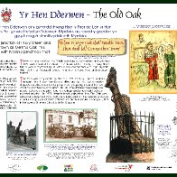 CTC Oak WFTa