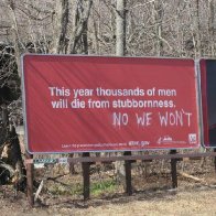 Stubborn Men