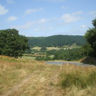 Gilfach