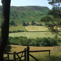 Green Gilfach, despite the drought.