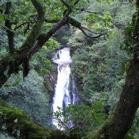 Devils Bridge Waterfalls