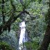 Devils Bridge Waterfalls