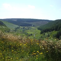 Dolgoch, Tywi Valley