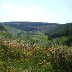 Dolgoch, Tywi Valley