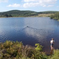 Llyn Blaenmelindwr