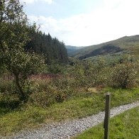 Cycle path near Bwlch nant Yr Arian