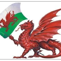 WelshDragon