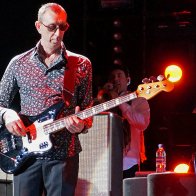 Pino Palladino