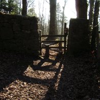 Marl Woods near Deganwy