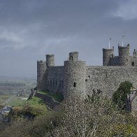 Harlech Castle, April 24th 2008