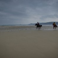 Riders at Newgale