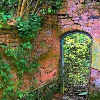 Ruthin Secret Garden patric