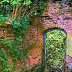 Ruthin Secret Garden patric