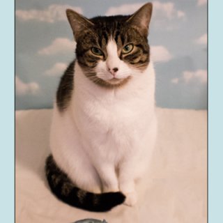 temp_ning_photo_file.jpg
