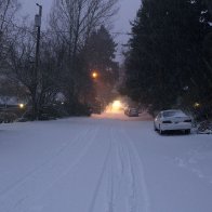 Finally, some snow in Portland