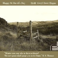 Everyone Should Sit Here - Happy St David's Day / Dydd Gwyl Dewi Hapus