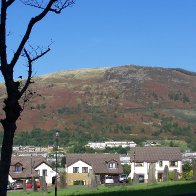 Gorsedd stones Treorchy