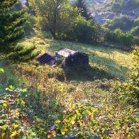 Battered old shed