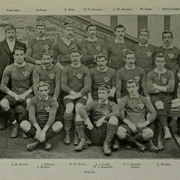 350px-Wales_rugby_team_1895.jpg