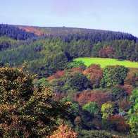 Tylecoch in Autumn