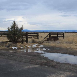 deserted_paddock_near_simtustus.JPG.jpg