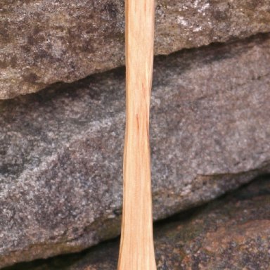 Spalted Duck Cawl Spoon