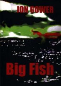 big fish by jon gower front cover detail