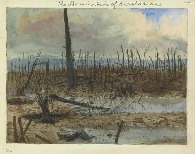 Mametz Wood - after the autumn advance, 1916.