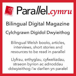 Parallel.cymru advert for Americymru.jpg