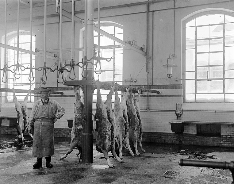 763pxHalle_dabattage_abattoirs_de_La_ChauxdeFonds_vers_1906.jpg