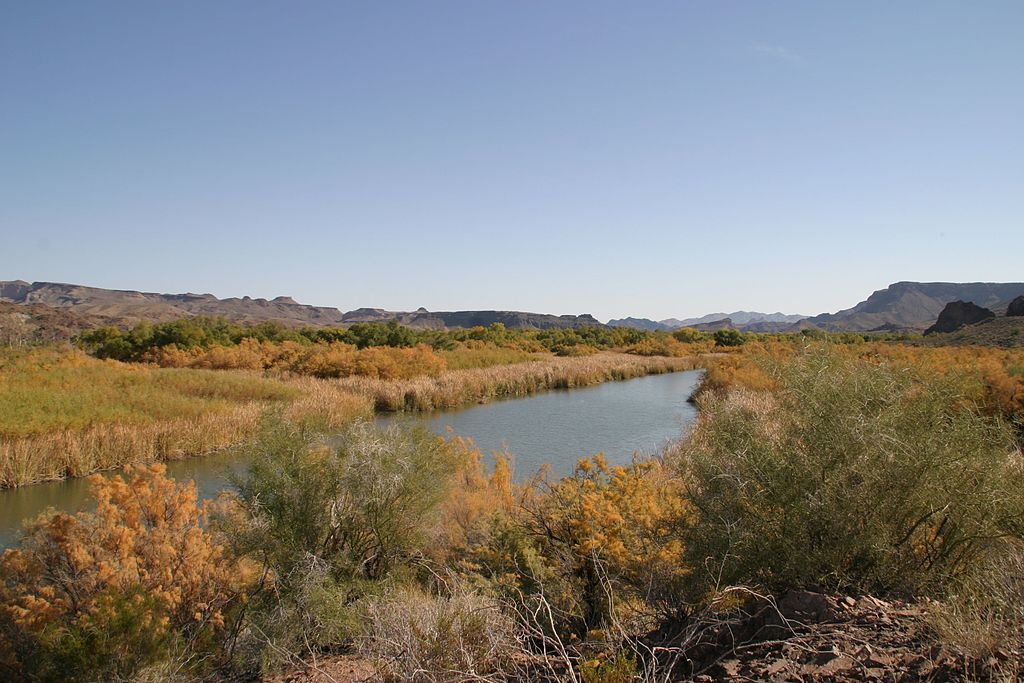 Bill_Williams_River_National_Wildlife_Refuge_2.jpg