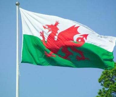 Hen Wlad Fy Nhadau (Land of My Fathers)