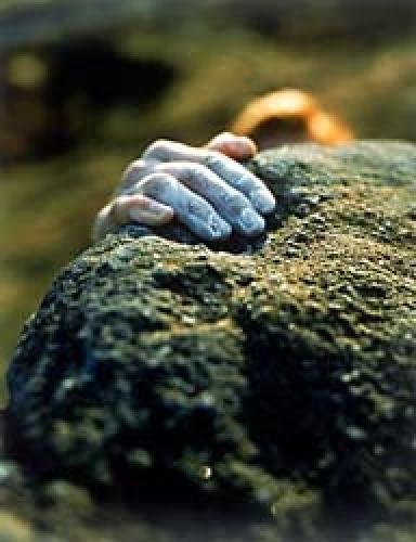 Grab a Rock,up 1