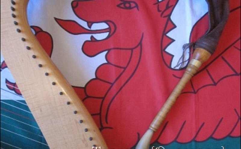 Y Deryn Pur