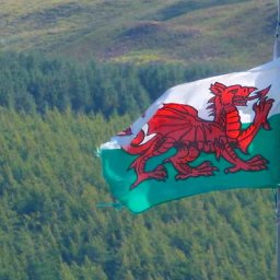 wales-is-building-a-national-forest-that-will-span-the-length-and-breadth-of-the-country