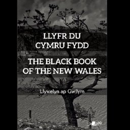 the-black-book-of-the-new-wales-represents-utopian-vision-for-an-independent-nation