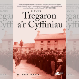 review-hanes-tregaron-ar-cyffiniau-by-dben-rees