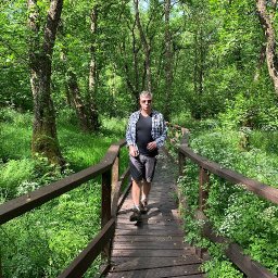 the-creation-of-a-national-forest-for-wales-inspired-me-to-walk-300-miles-and-feel-calm-again