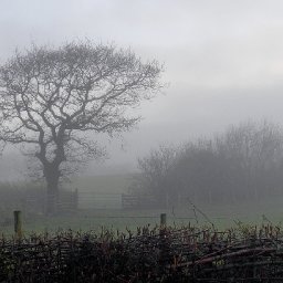 transport-delays-and-flooding-expected-as-65mph-winds-and-heavy-rain-hits-wales