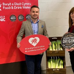 wales-national-emblem-the-welsh-leek-secures-special-protected-status