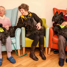 beautiful-therapy-dogs-bring-smiles-to-the-faces-of-residents-in-north-wales-care-home